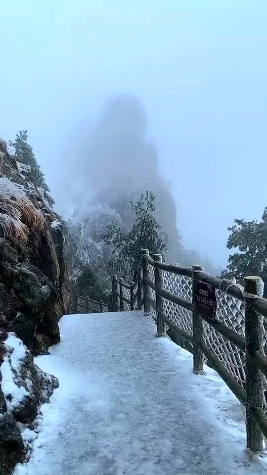 早熟葡萄苗多少天？游戏画面