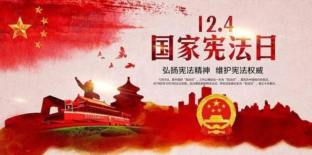 漂亮鹦鹉救援