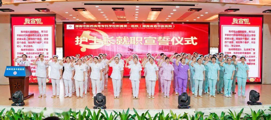 方舟生存进化