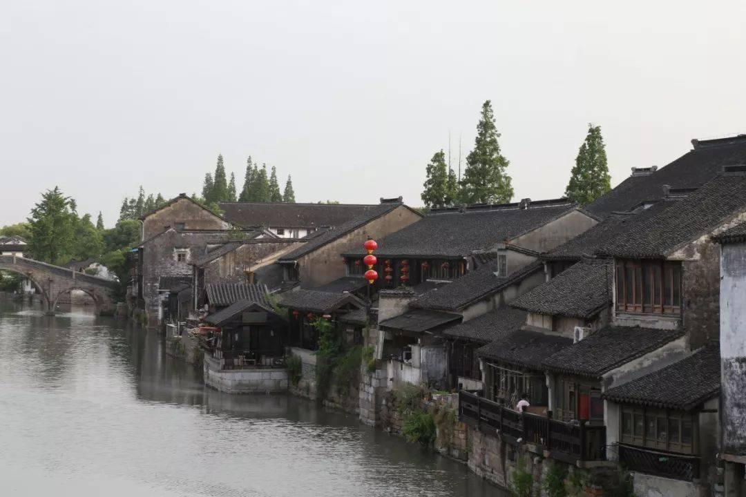 拯救蓝色小鸟